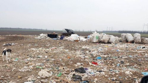 Свалка ТКО возле станицы Переяславской Брюховецкого района